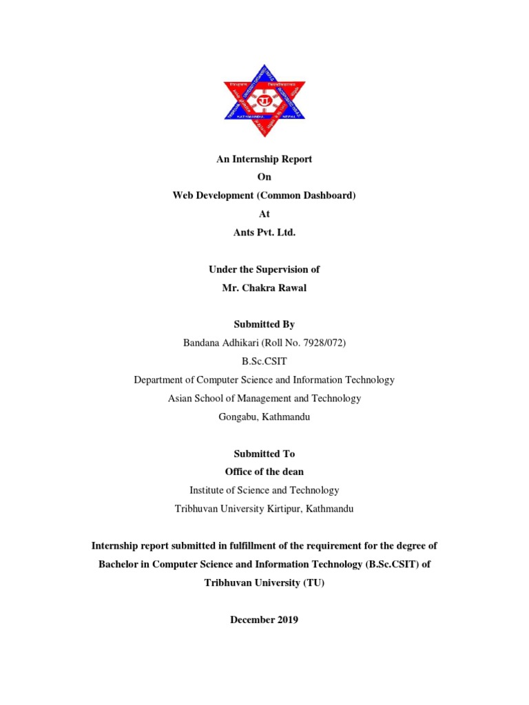 Web Development Internship Report | PDF | J Query | Internet & Web
