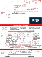 Photosynthesis 29-7 BE