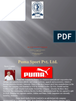 Puma's Financial Performance Analysis