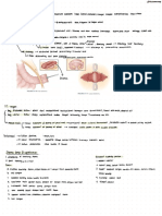 PerawatanKolostomi_thalamustudy