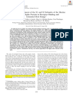 Journal of Virology-2006-De Haan-10909.full