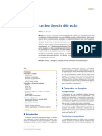 Amylose Digestive-EMC 2020