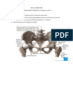 Gross Anatomy COUSEWORK ACTIVITY For October 26,2020