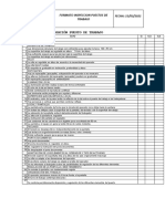 Inspeccion Puestos de Trabajo