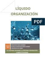 LECTURA (1) The Liquid Organization March 2021 (2283) .En - Es