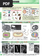P0 043 2 細胞 Pdf