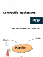 FuPap L6 Contractile Mechanisms-2