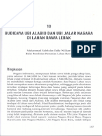 Budidaya Ubi Alabio Dan Ubi Jalar Nagara Di Lahan Rawa Lebak