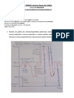 P2 Fisiologia Ii