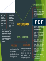 Mapa Profesiograma