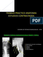Anatomia Radiologica Estudios Contrastados