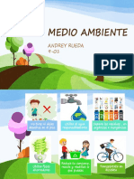 Medio Ambiente_andrey Rueda_ 9-01