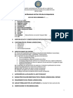 Res. Jef. 017-2021_Guía para Acta Visita Judicial Ordinaria_Anexo II