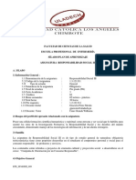 Facultad de Ciencias de La Salud Escuela Profesional de Enfermeria Silabo Plan de Aprendizaje Asignatura Responsabilidad Social III