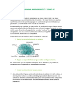 Preguntas Bioquimica Terminado Examen 2