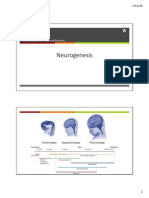 Neurogenesis: Neurobiology of Developmental Disorders