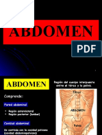 Abdomen: anatomía y funciones