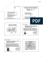 Cognitive Psychology Exam3 Lectures