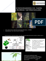 Interacciones de Microorganismos Con Plantas. Rizobacterias, Micorrizas Y Bacterias Nodulares