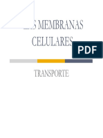 membrana y transporte