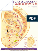 Mapa Auriculo Enomoto