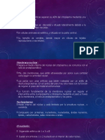 La estructura nuclear en la célula eucariótica