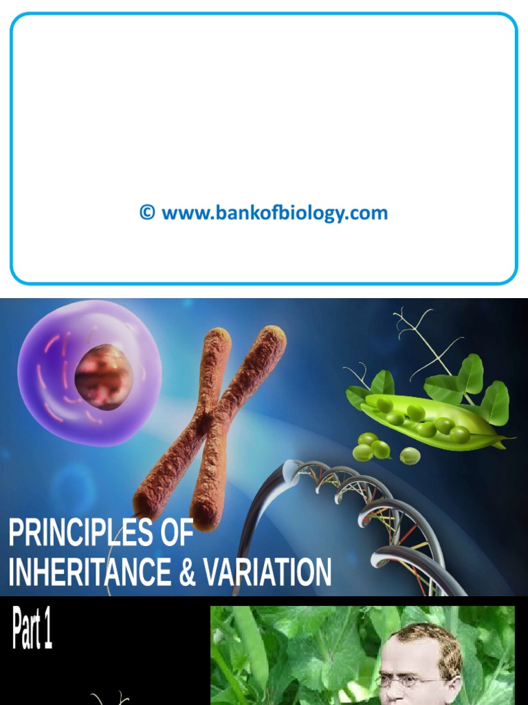 5 Principles of Inheritance and Variation | PDF | Dominance (Genetics ...