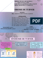 Sindrome de Turner