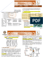 P2-A7. FILARIAS-Trichinella Spiralis