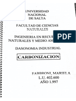 Carbon, Papel y Aserradero_2