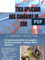 Genética Aplicada Aos Canários de Cor - Pesquisar o Ano