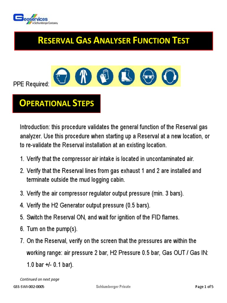 Reserval Gas Analyzer Function Test | PDF | Gases | Gas Technologies
