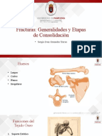 Generalidades de Fracturas y Etapas de Consolidación de Fracturas