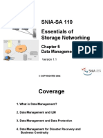 SNIA-SA 110 Chapter 5 Data Management (Version 1.1)