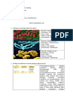 Tugas 2 Mikrobiologi Nur Annisa Harahap