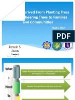 Benefits Derived From Planting Tress and Fruit Bearing Trees To Families and Communities