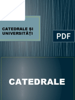 Studiu de Caz - Catedrale Și Universități