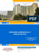 SX Adherencial y Dolor Pelvico