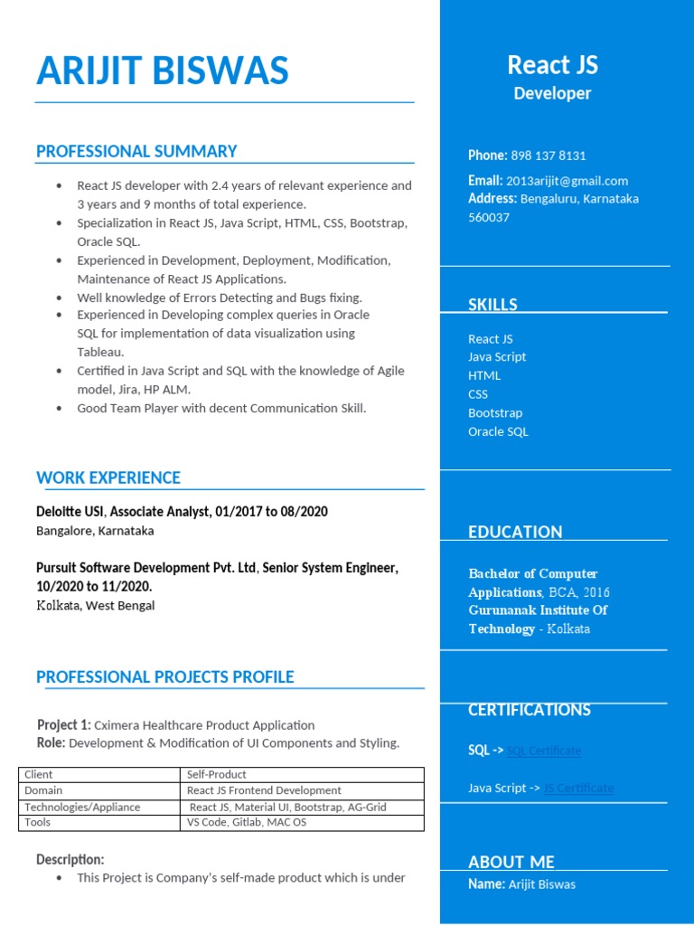 React JS Developer Profile | PDF | Databases | Bootstrap (Front End ...