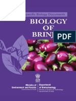 Biology and Cultivation of Brinjal