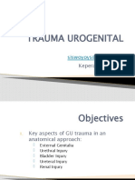 Trauma Urogenital Sis