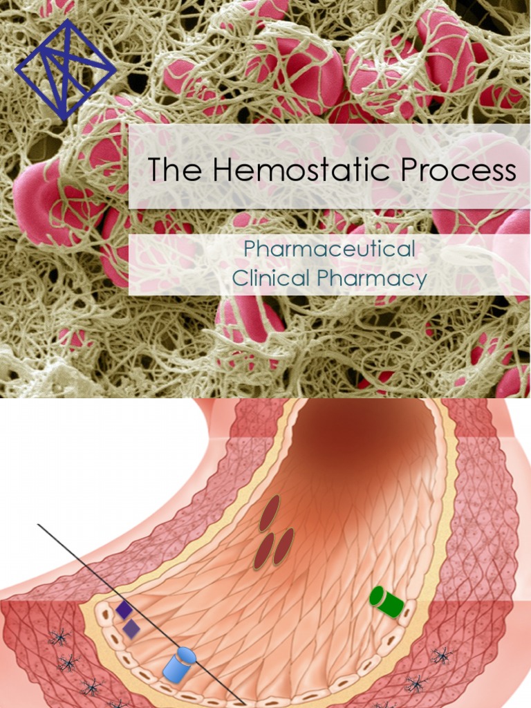 The Hemostatic Process Pharmaceutical Clinical Pharmacy PDF