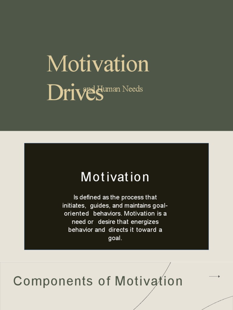 Understanding Motivation and Drives | PDF | Motivation | Motivational