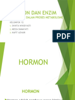 Hormon Dan Enzim