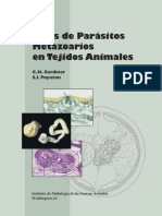 Atlas de Parásitos Metazoarios en Animales - 2006