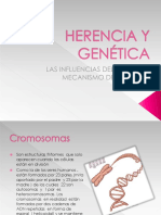 Herenciaygeneticatotal 150429165238 Conversion Gate01