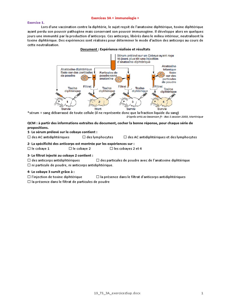 Exercice Corrigé Système Immunitaire 3ème Pdf Immunologie Exercices Corriges 2 | PDF | Système immunitaire | Anticorps