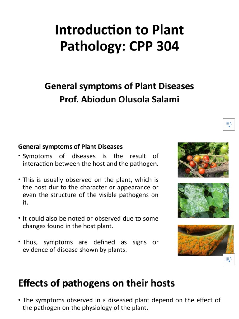 Overview of Plant Disease Symptoms | PDF | Plant Pathology | Plants