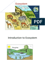 Introduction to Ecosystems