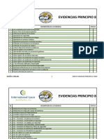 Evidencias Generales Por Principios N8